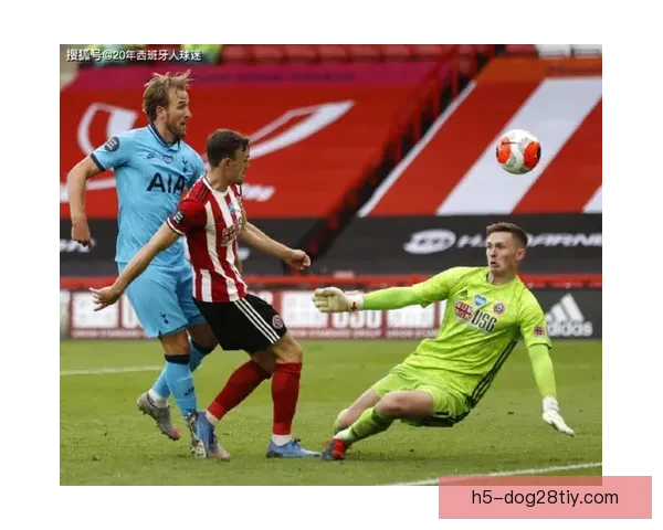 安德莱赫特球迷携裁判清雪保赛