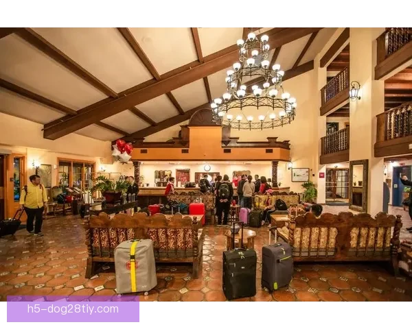 加维惊叹纽卡斯尔酒店如哈利波特世界